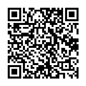关于这个问题陆为民在向总书记和总理做专题汇报时也就提到过二维码生成