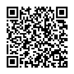 关键是她仅凭个人力量就能在这残酷的末世中生活的如鱼得水二维码生成