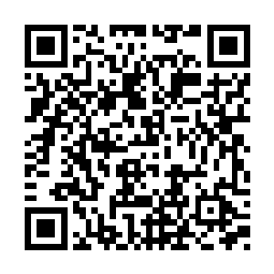 关键是杨开在七彩的泥巴当中感受到了一股生机二维码生成