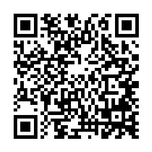 关键是现在我也没有办法可以破解这里的阵法带着你出去二维码生成
