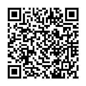 其上只有一名元婴修士和数名结丹修士逃得性命二维码生成