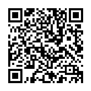 其中两个圣域巅峰分别是圣域巅峰一重天和二重天二维码生成