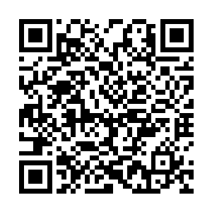 其中也有让我不要轻易放弃任何一种法术的原因在里面二维码生成