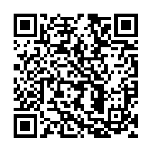 其中有大半被玄鸦子的元神吸收炼化为精纯的灵念之力二维码生成