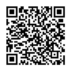 其他三只仙灵是在适合的地方一步一脚印稳稳的长大二维码生成