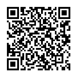 其他人都是很斯文的用各种灵力妖力凝聚的绳索捆住一串拖回来二维码生成