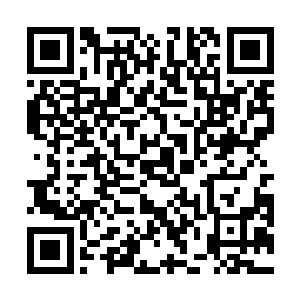 其他四人纷纷被赶到的杨明治与顾东阳两大队团团围住二维码生成