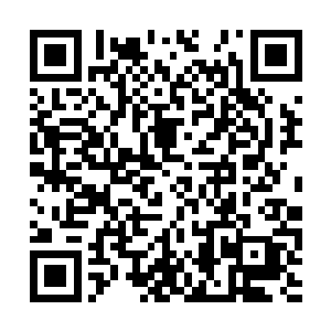 其他的年轻人此刻也都是纷纷找了一个位置做下了二维码生成