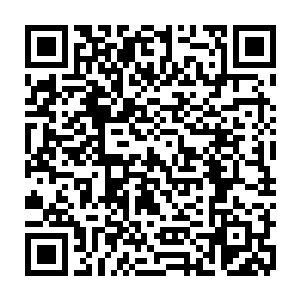其余的家庭并不是这样生活――也开始接受她的生活就会这样继续下去的时候二维码生成