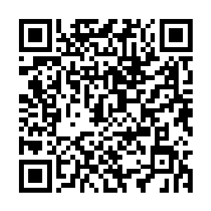 其余的影片只能在这两部超级大作的夹缝间求生存二维码生成