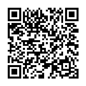 其余的血族在上次经过梓箐为他们改变了体内能量构造二维码生成