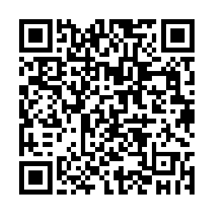 其余的那些仙帝高手也是纷纷的朝着里面蜂拥而入二维码生成