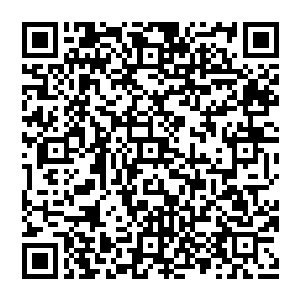 其声粗狂　嚣张之意不言而喻　无数剑光闪过　似要斩破诸天　剑气纵横　颇有一种扫荡天下之势二维码生成