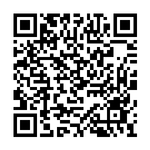 其实到了他们这个境界都对于危险有着一些感应二维码生成