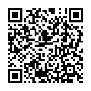 其实到现在还不知该如何使用补天鼎修复鸿蒙世界二维码生成