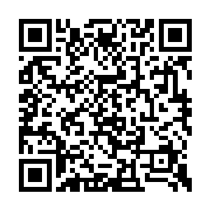 其实在下觉得如果各位不嫌弃可以继续住在唐家二维码生成