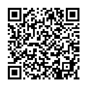 其实女孩们对凌菲的关注更多是因为龙战的原因二维码生成