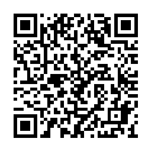 其实我们南灵星的定居点早几十年就该突破十个二维码生成