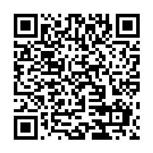 其实我们的师兄弟在杀药香派和茅山派的那些同仁的时候二维码生成