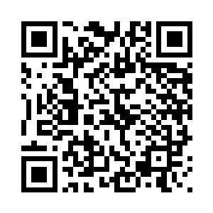 其实我就是报名参加一下职业拳手二维码生成