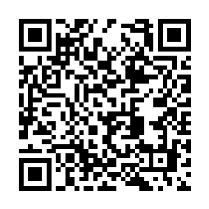其实手里拿着巴克已经打开拨通了向婉的量子电话二维码生成