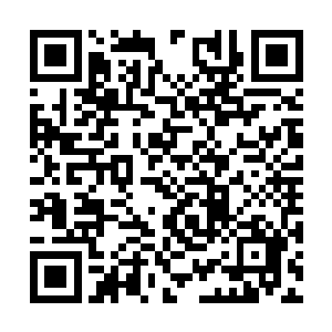 其实曾经的他与做下这些事情的人并没有什么区别二维码生成