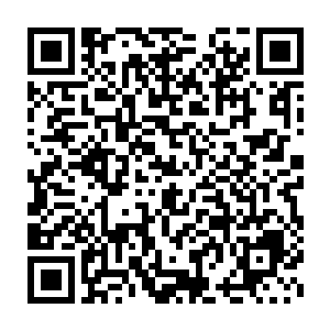 其实最令郑友仁窝心的是张生刚进医院的时候郑友仁本想和他拉拉关系二维码生成