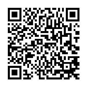 其实本来我的责编袋鼠大大是建议我等待四号强推九号在上架的二维码生成