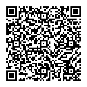 其实苏茜怡本身也是一个非常善良的女子…若是因为自己而让人生走上截然不同的善恶两个极端二维码生成