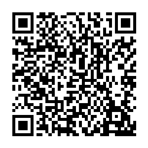 其实苗山主如果要做什么生意也不必舍近求远劳烦罗柜员大老远从都城跑一趟二维码生成