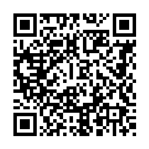 其实这会身边这些来的人们就是喜欢看这种比赛二维码生成