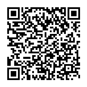 其木系本源力量本身对于一切木系力量都有着极强的克制和统御能力二维码生成