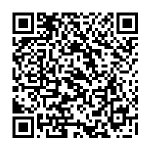 其精密程度已经超越了画技能够达到的极限――那根本就不是这个世界的画像二维码生成