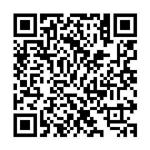 典仪式的穆元长老的声音在整个宗祠大殿的露台广场上回荡着二维码生成