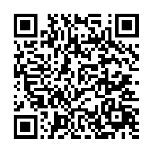 养剑池威力虽大却因为要扎根成长和防备着雷宵突袭二维码生成