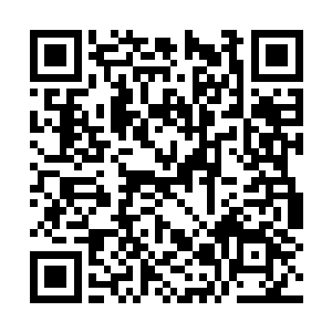 内环议员们当年和拜尔的先王奥罗斯有私下的协议二维码生成