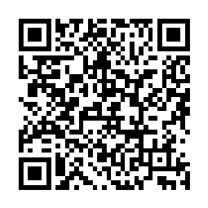 再之后还有在无数的拒绝中毫不气馁的韧劲――大家都不笨二维码生成