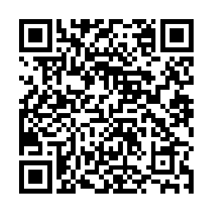 再也不是自己那价值十几万的海底植物硅胶记忆棉床铺二维码生成