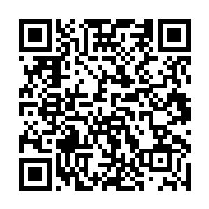 再也不顾那被面具男子紧紧夹着的弯刀朝后闪了过去二维码生成