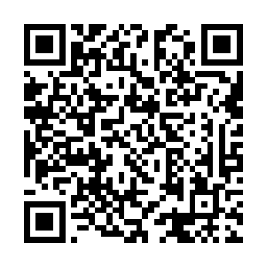 再以墨线勾画出看似凌乱无章的线条表现枝条与叶脉二维码生成