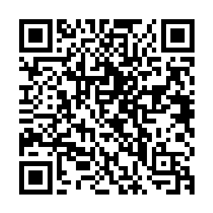 再加上夏云杰传授给他们的又是上古龙宫龟丞相的独门修行功法二维码生成