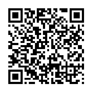 再加上宗门出了事让焚君翔无法安心继续修炼积累二维码生成