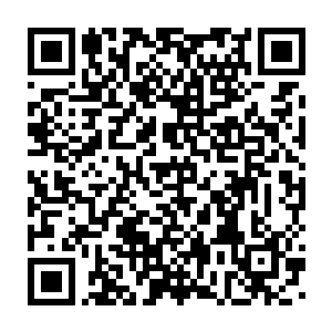 再加上这段时间陆续报名登记的有志于在县衙任职的守城青壮百姓二维码生成