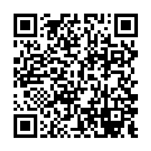 再加上银霜游木明这边新收的六十二个天选者狗腿子二维码生成