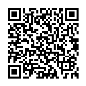 再听听远处森林里传来的狼嚎声和未知的兽吼声二维码生成