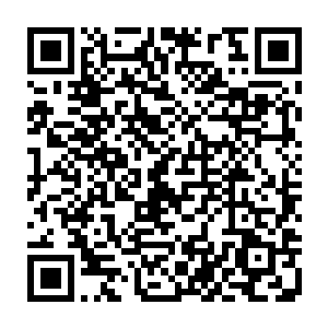 再在魔宫中人出手抵抗之际利落地一把将尹苏从两名魔宫中人手中扯过来二维码生成