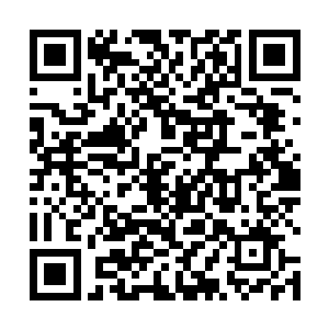 再好的医生也没有办法在枪林弹雨中去抢救更多的伤者二维码生成