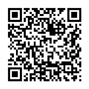 再怎么说你万正豪也是跟了古今龙数千年的手下呢二维码生成