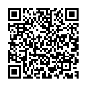 再想想孙悟空出来之后对付那些后辈的妖怪们力不从心的情况二维码生成