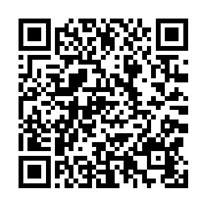 再按照你的修为和战力决定你在宗门属于哪一阶层的弟子二维码生成